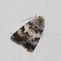 Grayling?