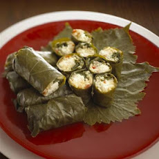 Goat Cheese Stuffed Grape Leaves