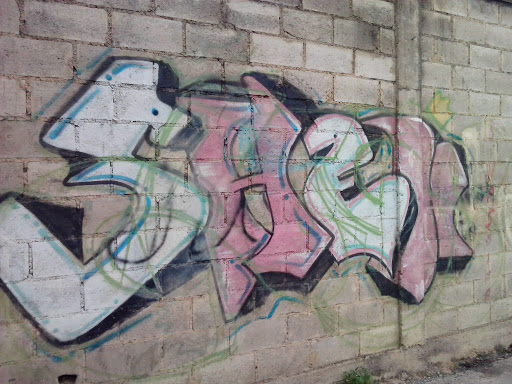 Grafitti Snake