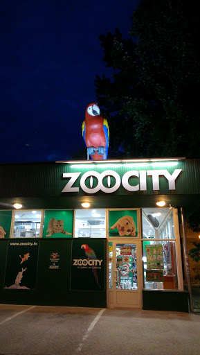 Zoo City Spot