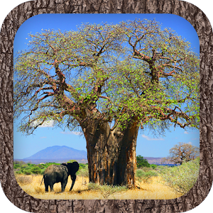 Best Trees.apk 1.4