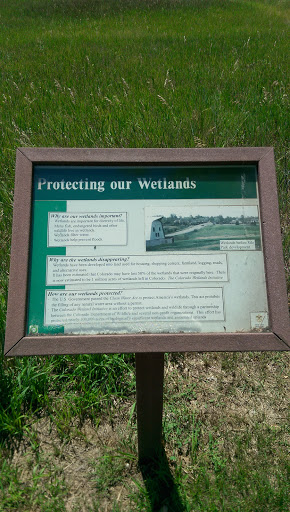 Protecting Our Wetlands
