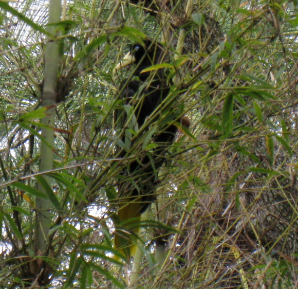 Spotting Image 1