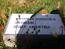 Memorial Jacaranda Mimosifolia