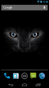 How to mod Black cat eyes live wallpaper 1.1.1 unlimited apk for pc