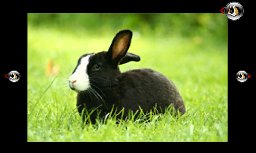 How to download my baby want a rabbit Varies with device apk for pc