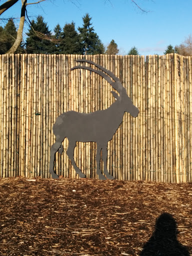 Antelope Silhouette