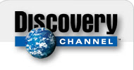 - Logo Discovery.jpg