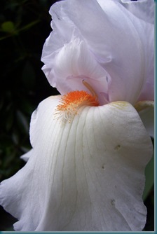 100_9457