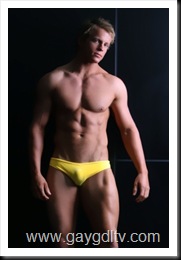 4855b4d3d31e0-V0101yellowfront