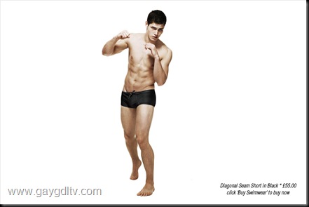 diagonal_seam_short_black_copy-1216140354