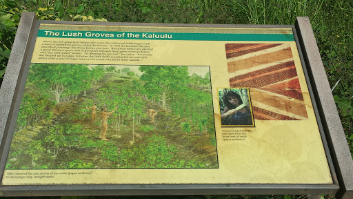 The Lush Groves of The Kaluulu