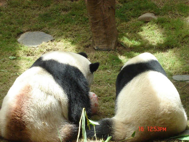 [DSC024892.jpg]