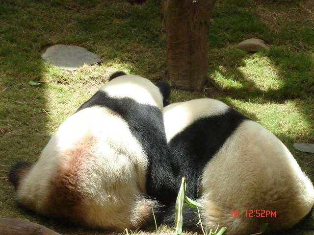 [DSC024882.jpg]