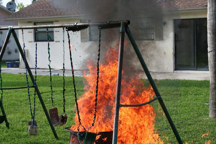 destruction of beehive