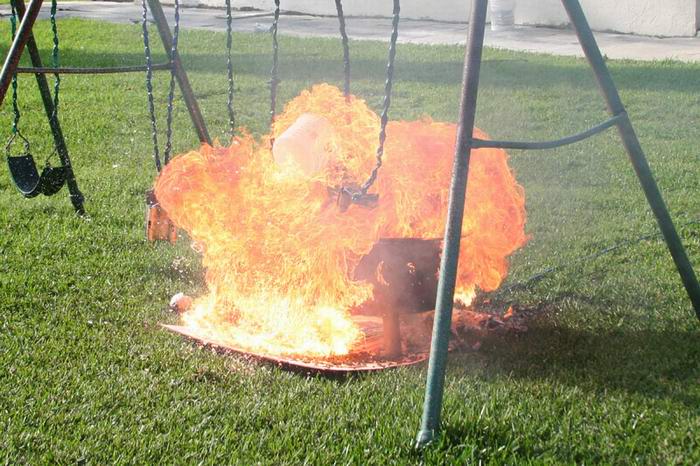 destruction of beehive