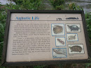Aquatic Sign