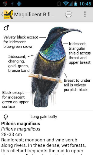 【免費書籍App】Morcombe's Birds of Aus (Lite)-APP點子