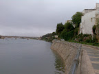 200804-031.jpg