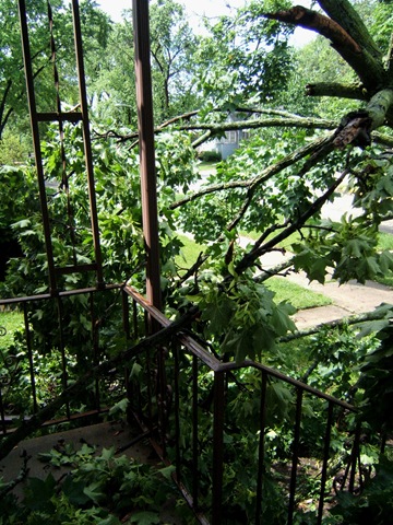 [2008_0615image0033[2].jpg]
