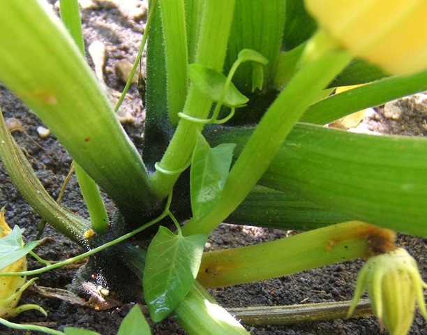 [2008_0705image0019[7].jpg]