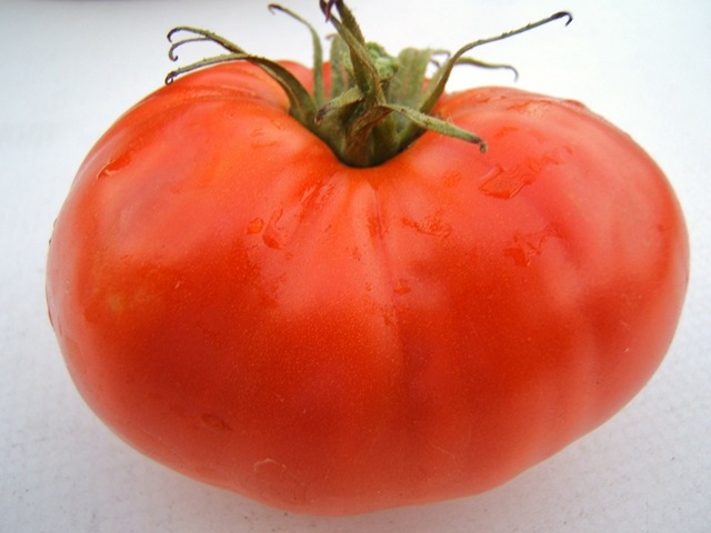 [tomato 2008[2].jpg]