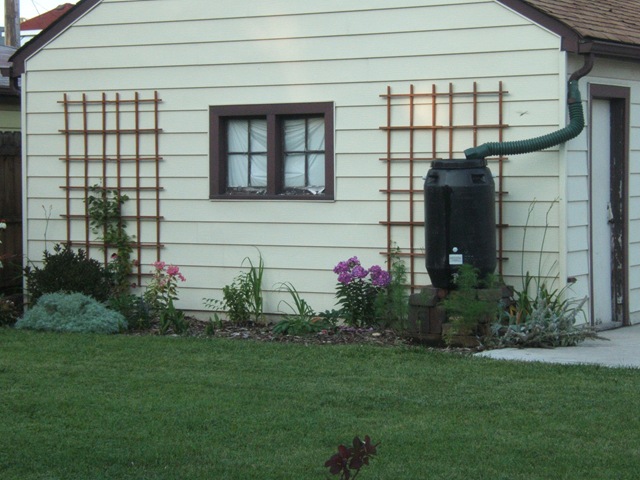 [2008_0803image0053[15].jpg]