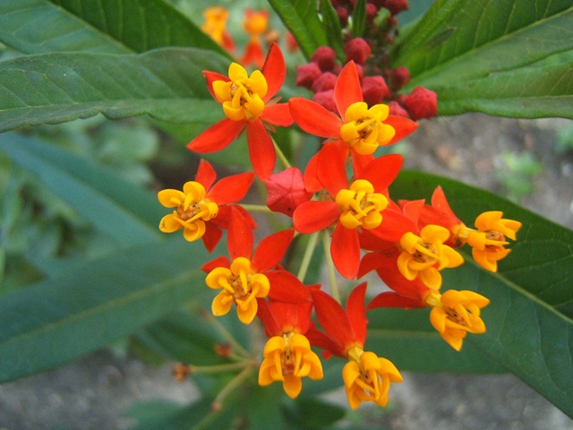 [2008_0919image0030[2].jpg]