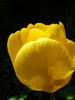 P1020010.jpg