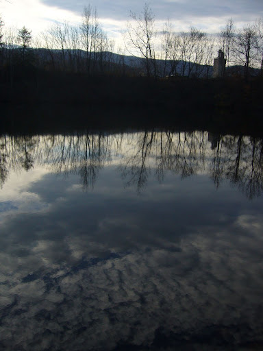 P1010145.jpg