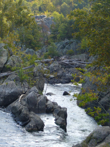 P1000969.jpg