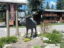 Moose Sculpture 