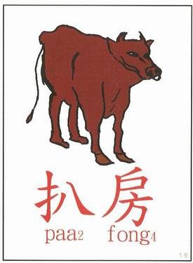 [paafong21.jpg]