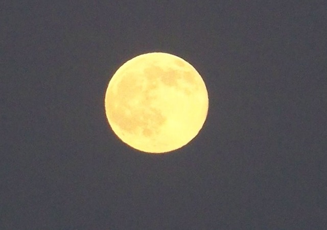 [100_4690crop3.jpg]