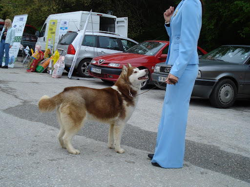 Качена снимка