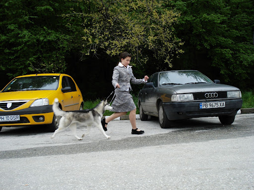 Качена снимка