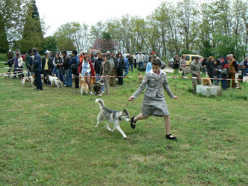 Качена снимка