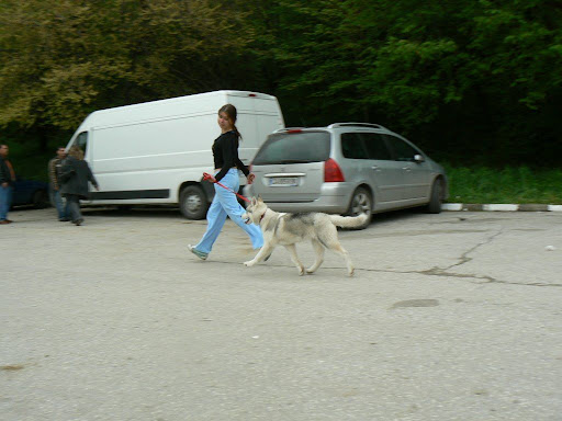 Качена снимка