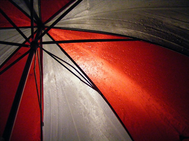 [Umbrella15.jpg]