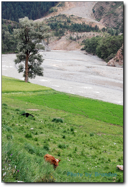 锦绣青海之 <wbr>－ <wbr>3 <wbr>天境祁连