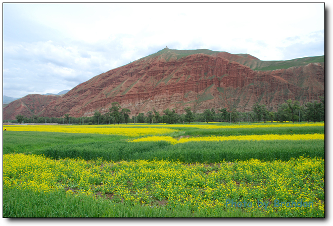 锦绣青海之 <wbr>－ <wbr>3 <wbr>天境祁连