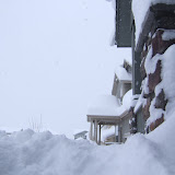 Snow, snow, snow, ...