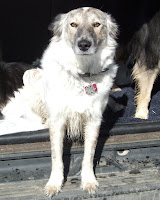 Aleutia at Chatfield Reservoir<br />
(February 2007)