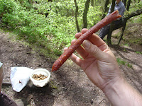 DSC01921.JPG