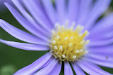 IMG_0883.JPG
