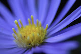 IMG_0898.JPG