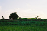 tmp5ae7fae0.tmp.jpg