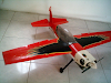 Avion Raven