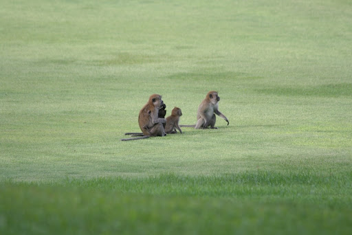 Et la famille