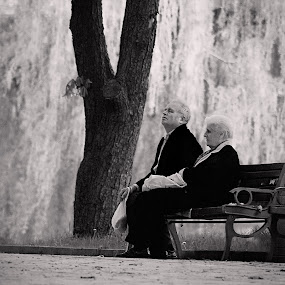When two people - a whole by Valentyn Kolesnyk - People Couples ( two, tree, park, meditation, steam )